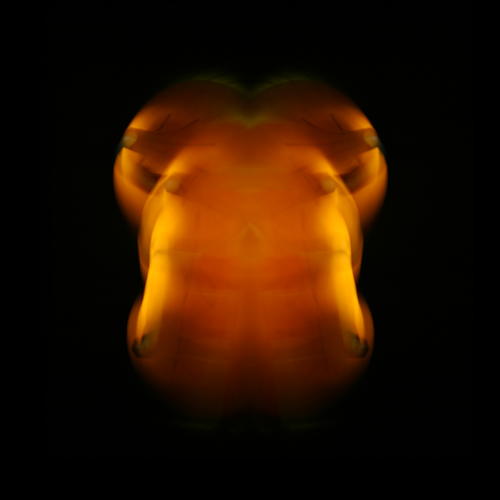 abstract SEX 03