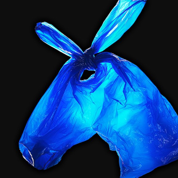 Donkey