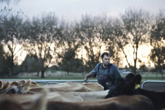 New Zealand Farmer