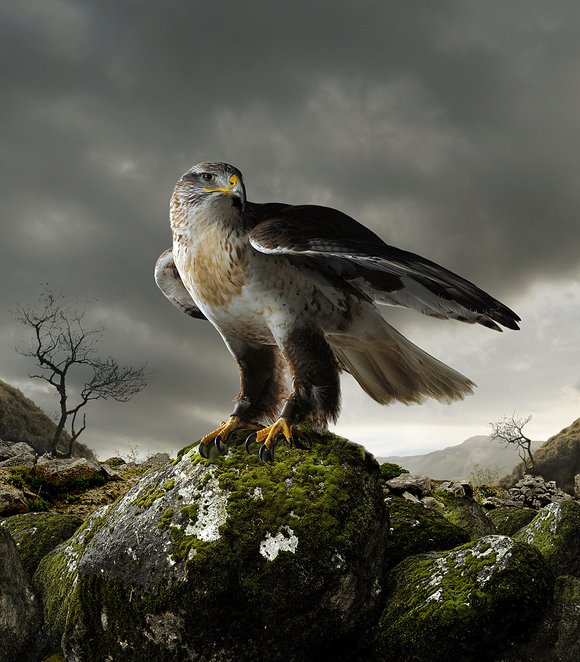 hunter