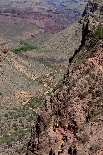 Jacob's ladder