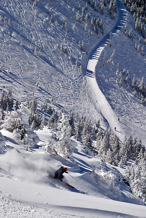 Telemark skier